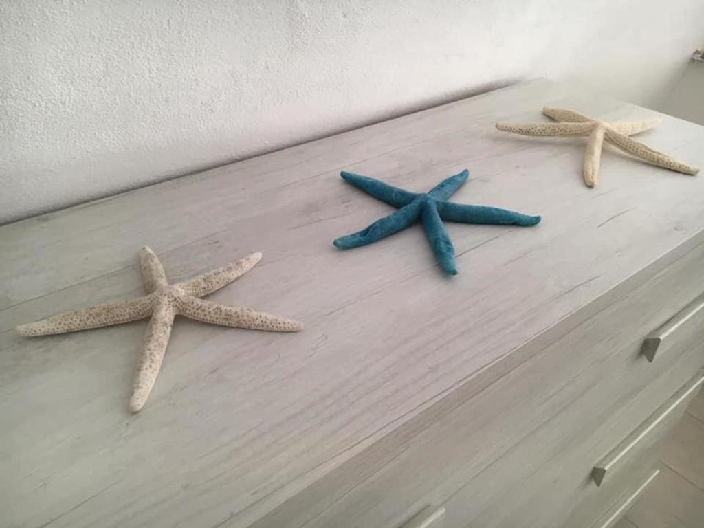 メタCasa Caterina Deluxe Sorrento Coastアパートメント エクステリア 写真